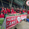 irland - oesterreich 1.10.2016 8